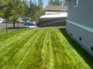 Fahim A.'s turf maintenance service result