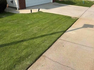Issam D.'s lawn service service result