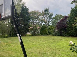 Pete S.'s lawn care services service result
