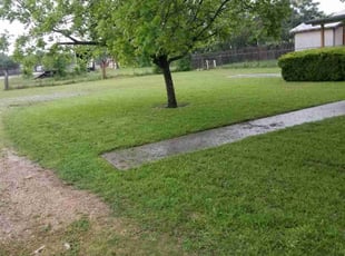 Andres V.'s grass maintenance service result