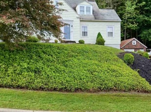 Susan A.'s turf care service result