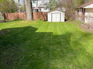 Laura P.'s grass maintenance service result
