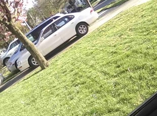 Bobbie P.'s lawn care service result
