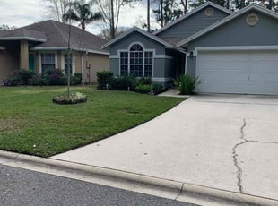 Dent D.'s grass cutting service result