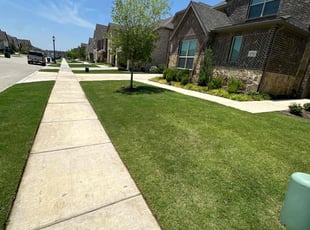 Cynthia A.'s grass maintenance service result