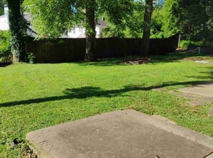 Deborah W.'s turf care service result