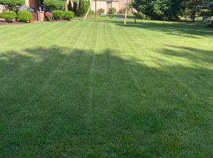 Brian J.'s lawn service service result
