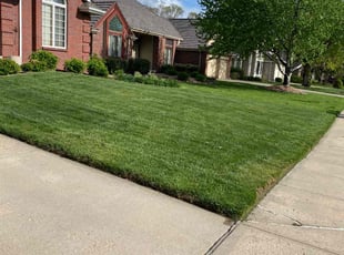 Jean V.'s lawn service service result