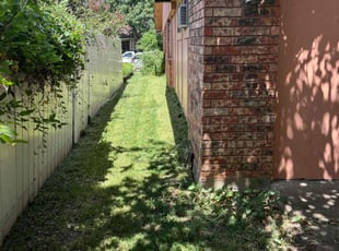 Carol W.'s lawn care service result