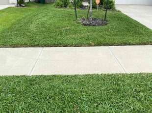 Wesley F.'s turf maintenance service result