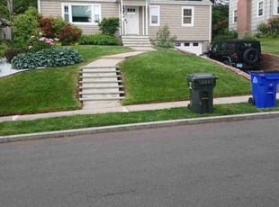 Esmie B.'s grass maintenance service result