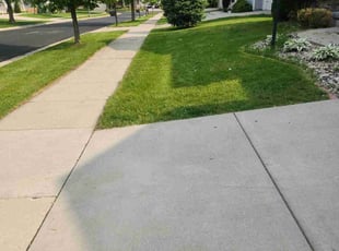 Dafni N.'s lawn service service result