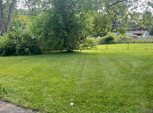 Kristie A.'s lawn service service result