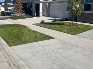 Jim A.'s grass maintenance service result