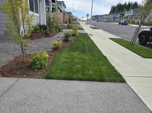 Alex K.'s lawn care service result