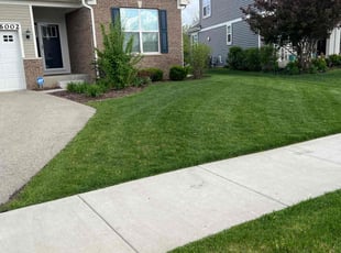 Karinne H.'s lawn care service result