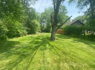Nick T.'s lawn care service result