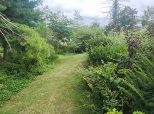 Dylan G.'s lawn service service result