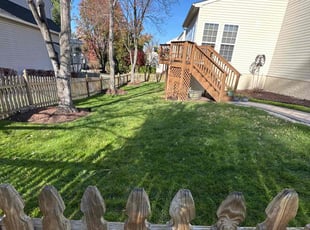 Steven M.'s Leaf Removal service result