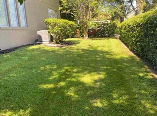 Veronica D.'s lawn care service result