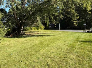 Mikki M.'s turf maintenance service result