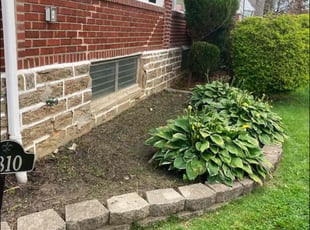 Diona H.'s Tree or Bush Removal service result