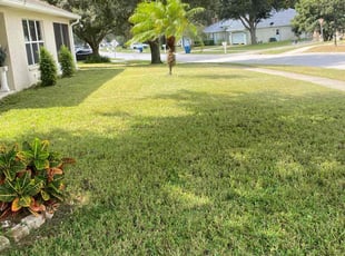 Devin K.'s lawn care service result