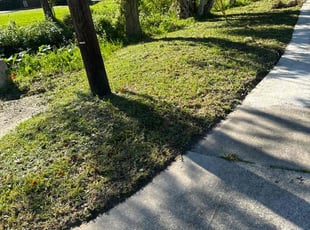 Lisa T.'s grass maintenance service result