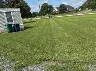 John C.'s turf care service result