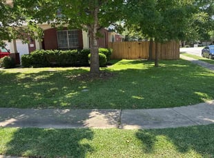 Estelle F.'s turf care service result