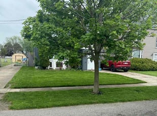 Cheryl M.'s turf maintenance service result