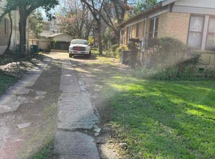 Natalie P.'s Leaf Removal service result