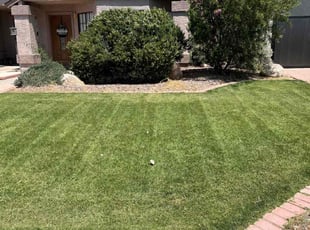 Latanya S.'s turf maintenance service result