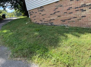 Kristen G.'s turf care service result