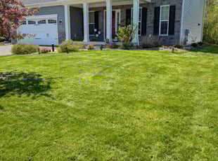 Robert M.'s lawn care service result