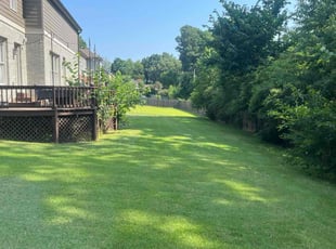 Andre K.'s lawn care service result