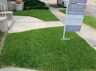 Jason L.'s turf maintenance service result