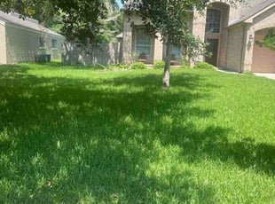 Bob A.'s lawn care services service result