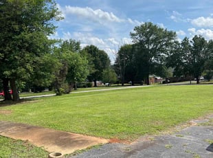 Sameer K.'s Long Grass Cleanup service result
