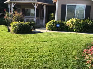 Penny M.'s lawn service service result