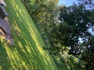 Katherine T.'s turf maintenance service result