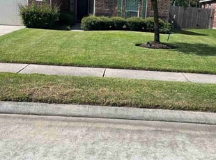 Christopher H.'s grass maintenance service result