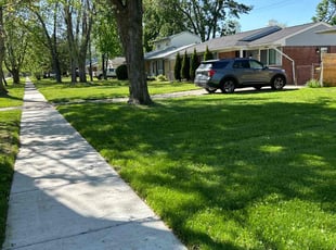 Karen W.'s lawn care service result