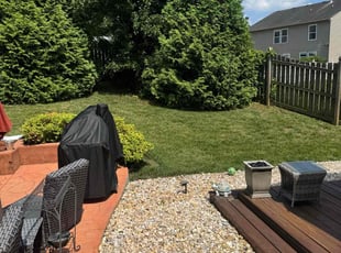 Kayda H.'s yard maintenance service result