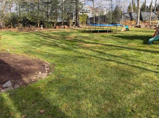 Daphne E.'s Leaf Removal service result