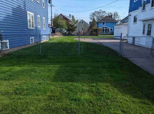 Sam T.'s grass maintenance service result