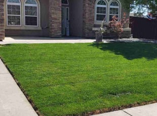 M J.'s lawn service service result