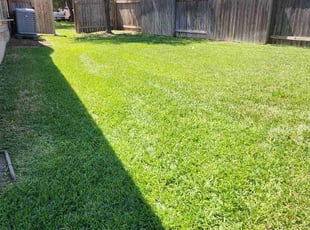 Steven R.'s lawn care service result