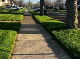 Bonnie C.'s lawn service service result