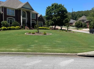 Jason P.'s grass cutting service result